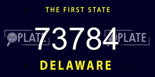 73784 Delaware License Plate