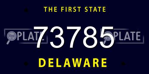 73785 Delaware License Plate