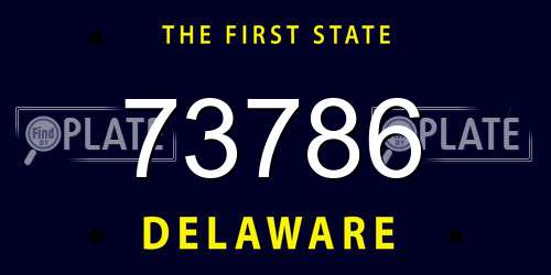 73786 Delaware License Plate