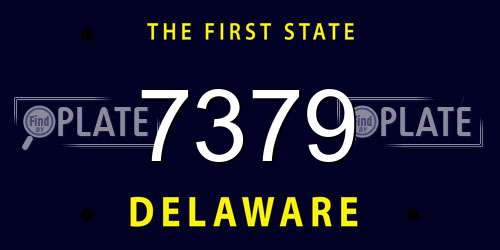 7379 Delaware License Plate