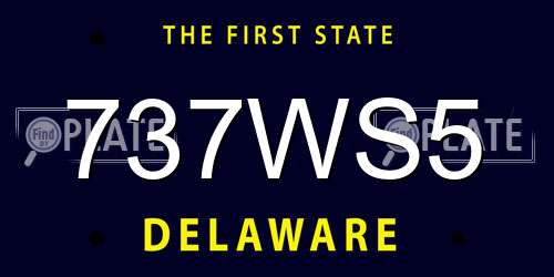 737WS5 Delaware License Plate