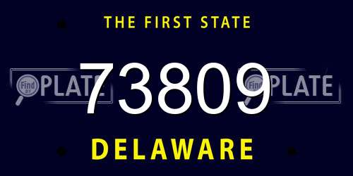 73809 Delaware License Plate