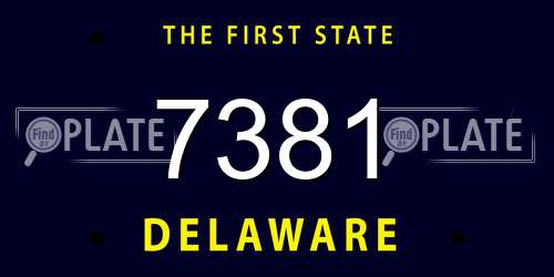 7381 Delaware License Plate