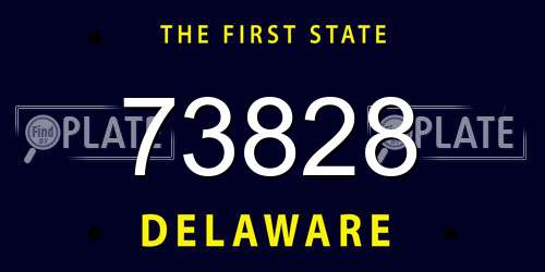 73828 Delaware License Plate