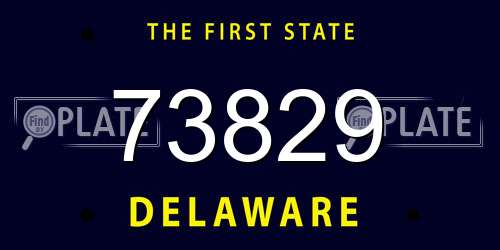 73829 Delaware License Plate