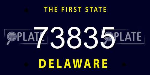 73835 Delaware License Plate