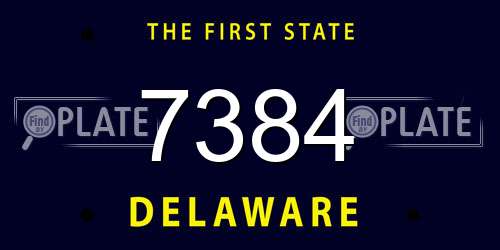 7384 Delaware License Plate