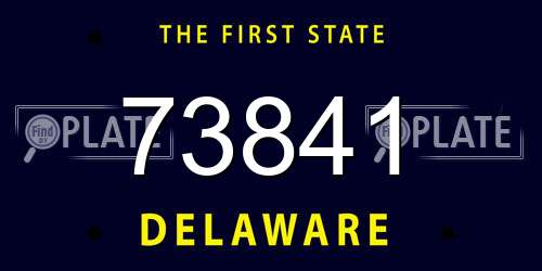 73841 Delaware License Plate