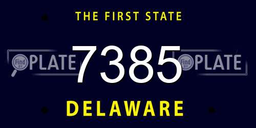 7385 Delaware License Plate