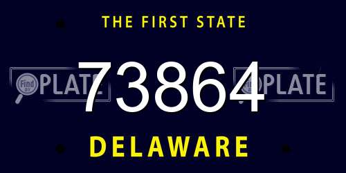 73864 Delaware License Plate