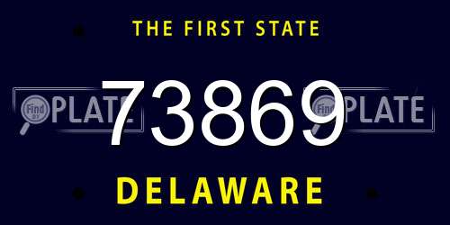 73869 Delaware License Plate