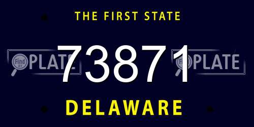 73871 Delaware License Plate