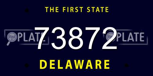 73872 Delaware License Plate