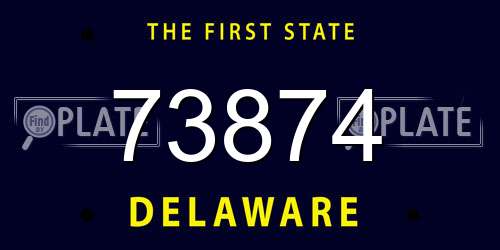 73874 Delaware License Plate
