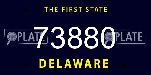 73880 Delaware License Plate