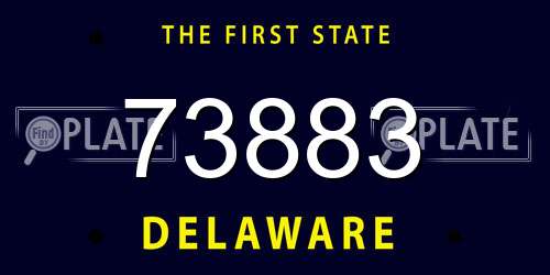 73883 Delaware License Plate