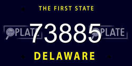 73885 Delaware License Plate