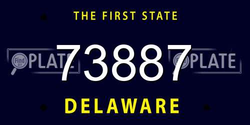 73887 Delaware License Plate