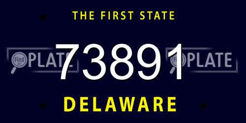73891 Delaware License Plate