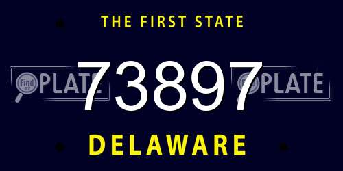 73897 Delaware License Plate