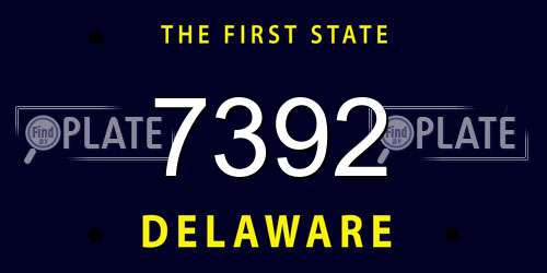 7392 Delaware License Plate