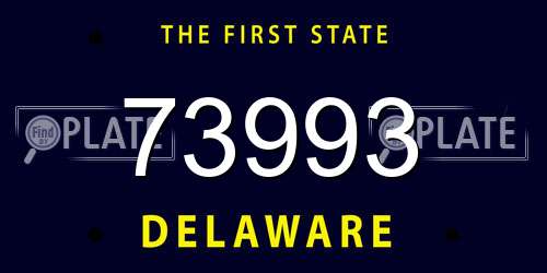 73993 Delaware License Plate