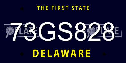 73GS828 Delaware License Plate