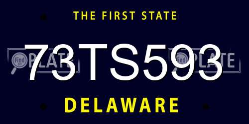 73TS593 Delaware License Plate