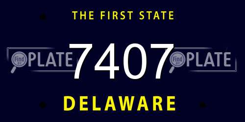 7407 Delaware License Plate