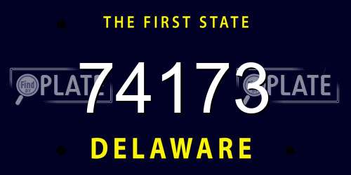 74173 Delaware License Plate