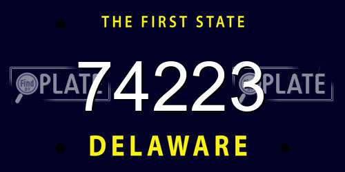 74223 Delaware License Plate