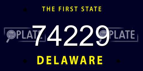74229 Delaware License Plate