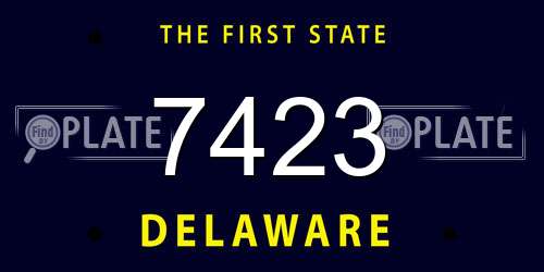 7423 Delaware License Plate