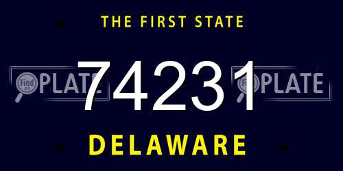 74231 Delaware License Plate