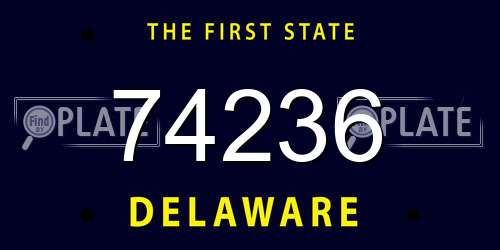 74236 Delaware License Plate
