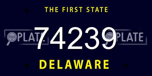74239 Delaware License Plate
