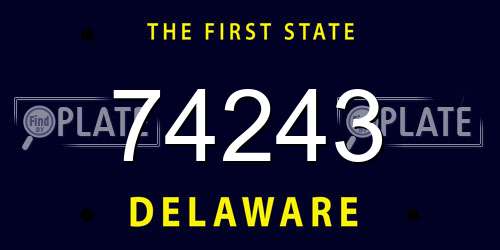 74243 Delaware License Plate