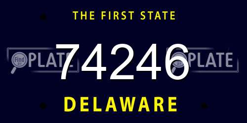 74246 Delaware License Plate