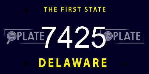7425 Delaware License Plate