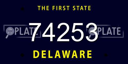 74253 Delaware License Plate