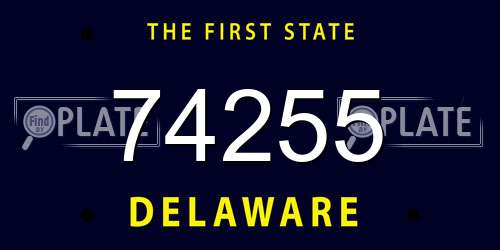 74255 Delaware License Plate