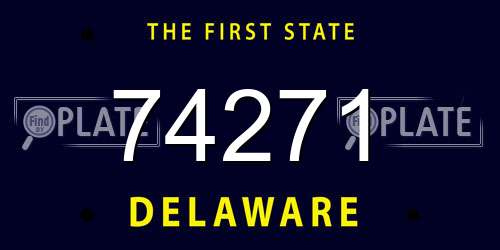 74271 Delaware License Plate