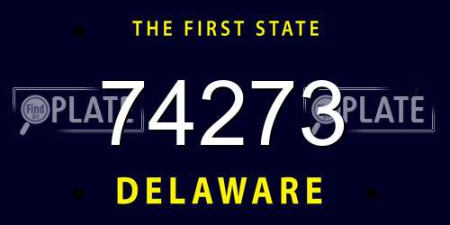 74273 Delaware License Plate