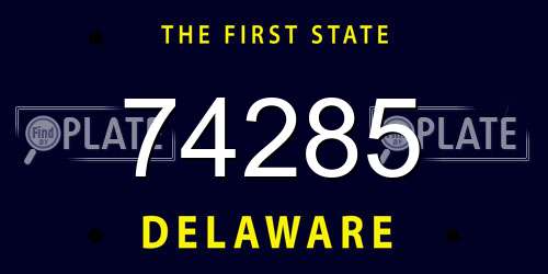 74285 Delaware License Plate