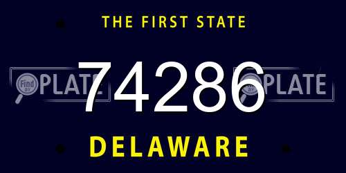 74286 Delaware License Plate