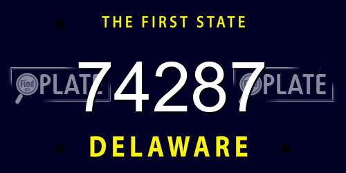 74287 Delaware License Plate