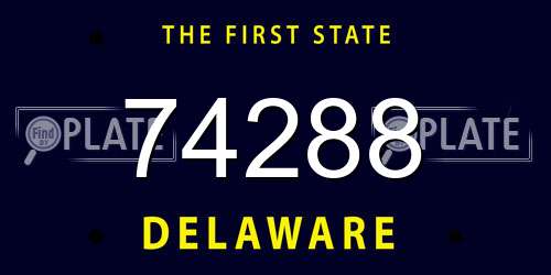74288 Delaware License Plate