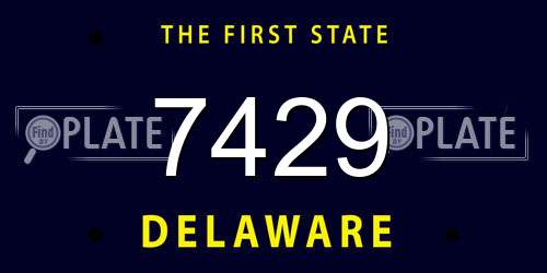 7429 Delaware License Plate