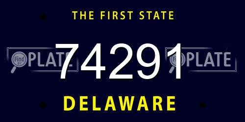 74291 Delaware License Plate