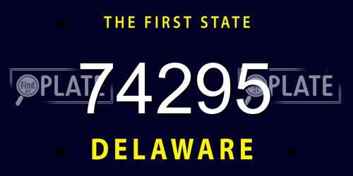 74295 Delaware License Plate